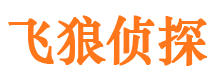 平邑婚外情调查取证